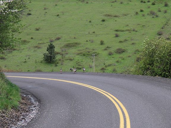 4th image of 52823 Kirk Rd