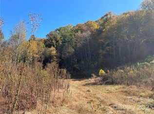 Morgan Cove Rd, Candler, NC 28715