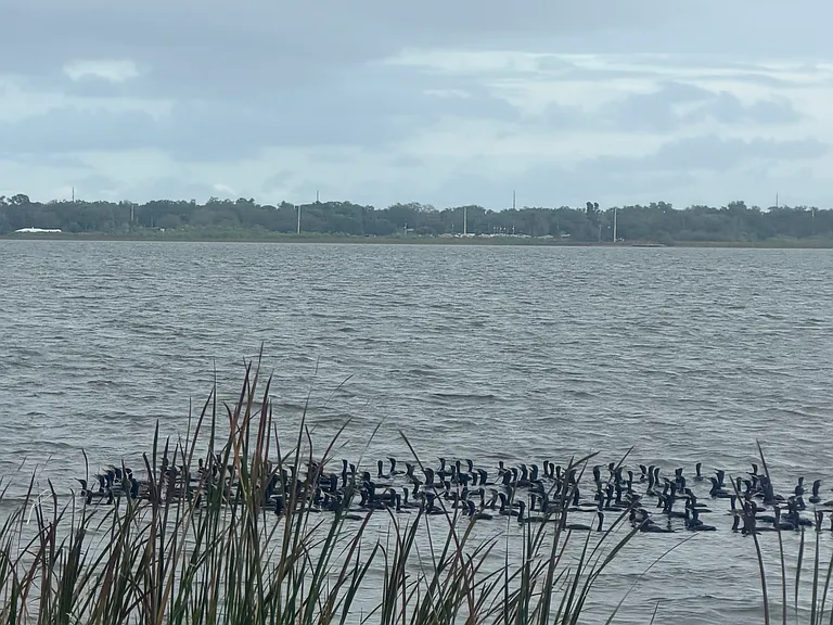 Edgewater Beach Dr — Photo 15