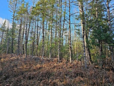 Highway 51, Hurley, WI, 54534