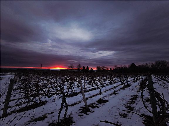 4th image of Sutton Rd Lot 6