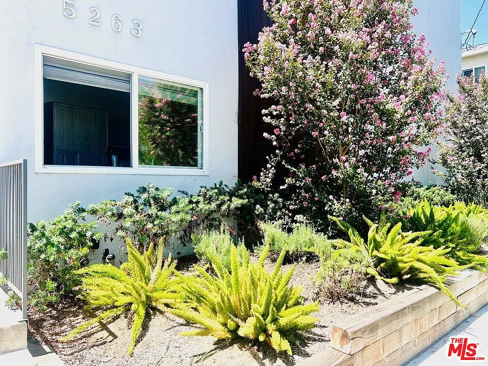 2 bed, 1.0 bath, 900 sqft, $2,625 — Photo 4