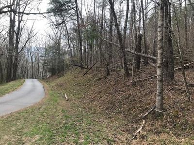 Sweetwater Bend Rd, Hayesville, NC, 28904