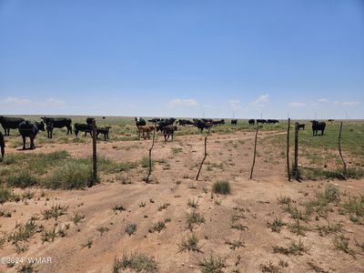 Near Old Holbrook Rd, Holbrook, AZ, 86025