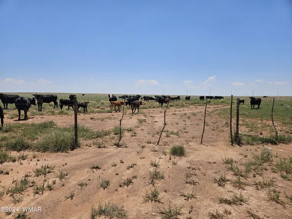 Near Old Holbrook Rd, Holbrook, AZ 86025