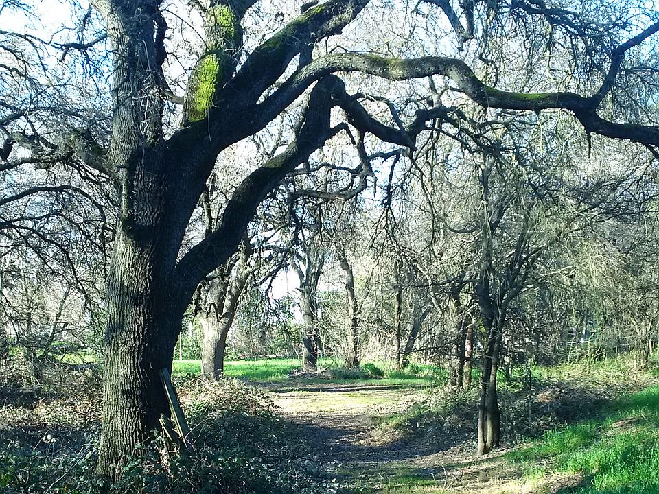 1st image of Garden Hwy