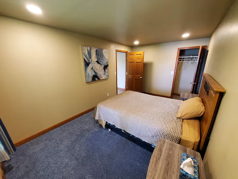 walkout basement with bedroom and queen size bed