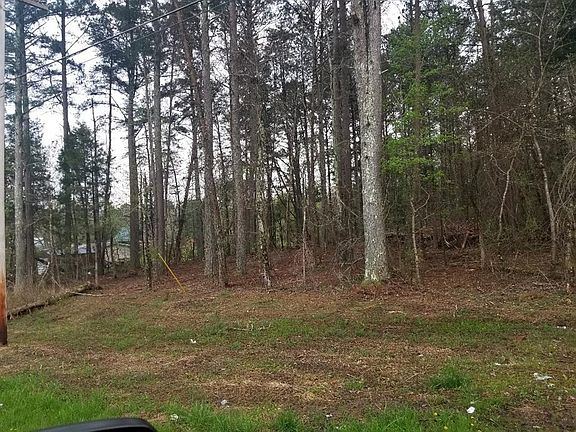 5th image of 0 Huff Bend Ln Lot 5/6A
