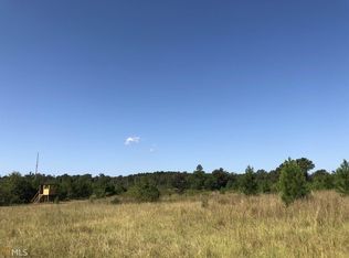 6876 S Sparta Davisboro Rd, Davisboro, GA 31018