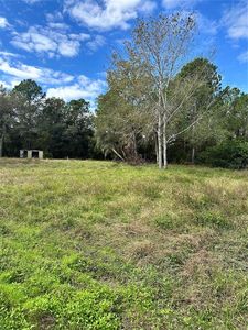 31242 Lakeside Dr #10, Deland, FL, 32720
