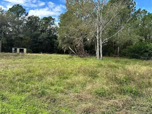 31242 LAKESIDE DRIVE LOT 10, DELAND, FL 32720