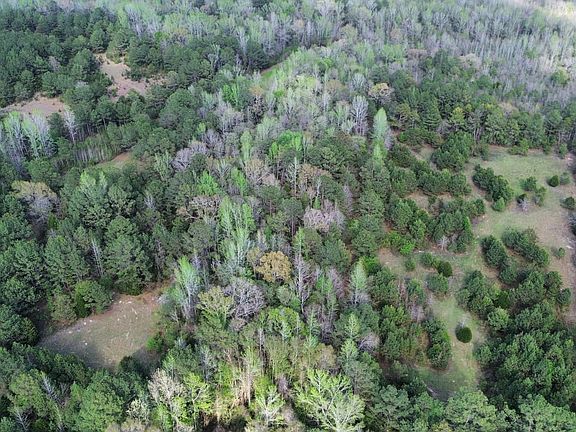 Dji Fly 20260401 171018 575 1775078221300 Photo Optimized