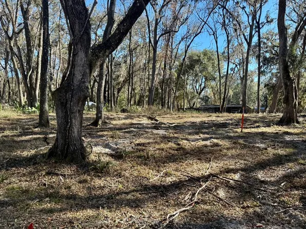 83rd St, Old Town, FL 32680