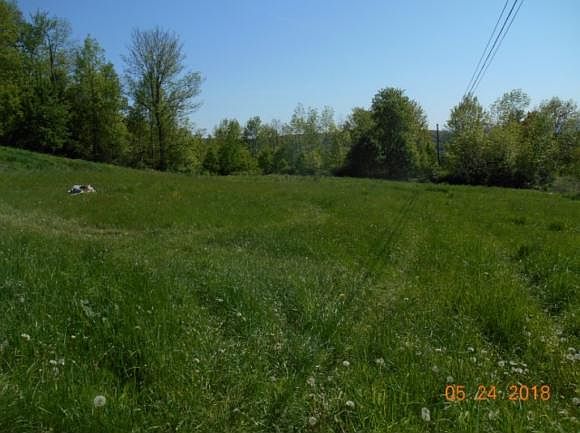 2nd image of 257 Springsteen Rd