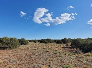 9772 E Concho Hwy, Snowflake, AZ 85937