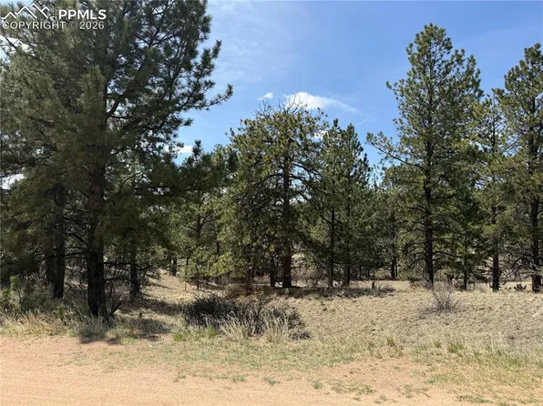 99 Cheyenne Way, Florissant, CO 80816