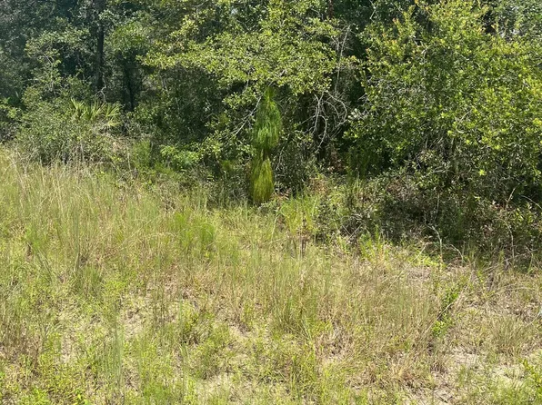 244 GLISSON Street, Interlachen, FL 32148