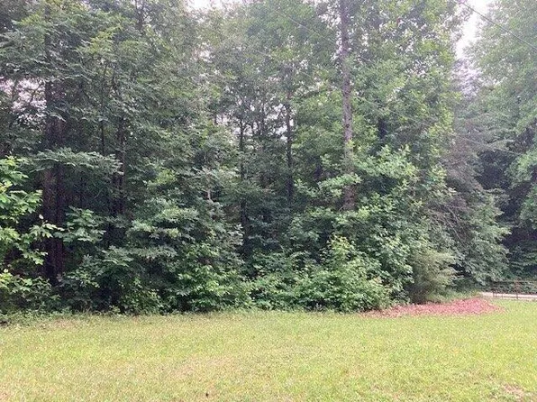 356 Waters Edge Dr, Martin, GA 30557