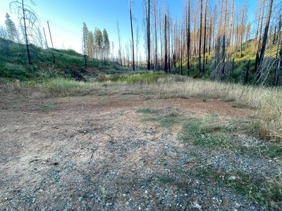 5095 Evergreen Dr, Grizzly Flats, CA, 95636