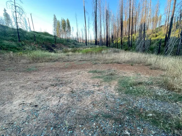 5095 Evergreen Dr, Grizzly Flats, CA 95636