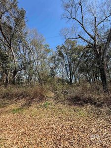 0 Hill N Dale Dr #5, Silverhill, AL, 36576