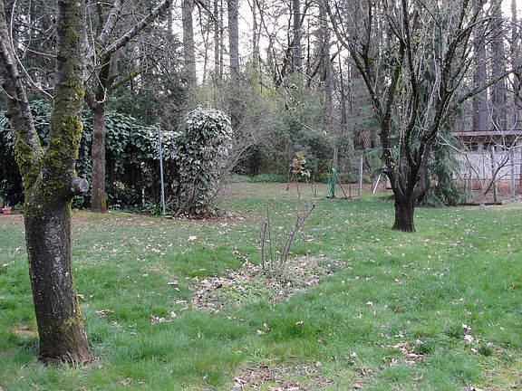 Back Yard facing Back Property Line