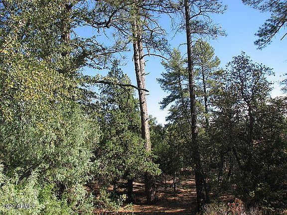 5th image of 1104 N Button Brush Ct Lot 807
