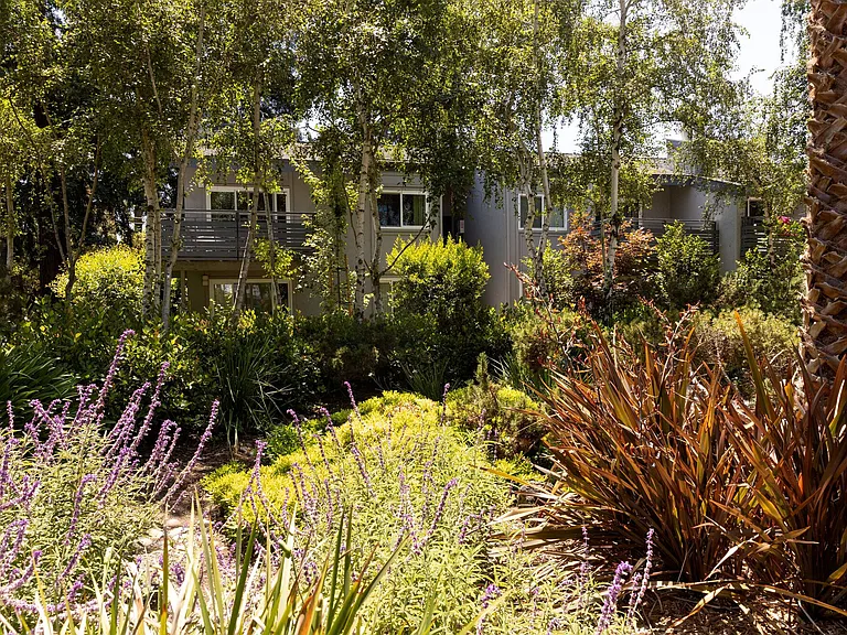 Shadowbrook — Photo 21