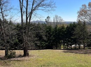 10425 Us Highway 11, Springville, AL 35146