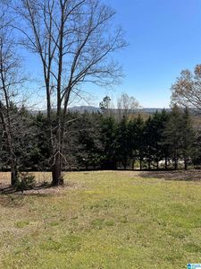 10425 Us Highway 11, Springville, AL, 35146