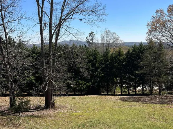 10425 Us Highway 11, Springville, AL 35146