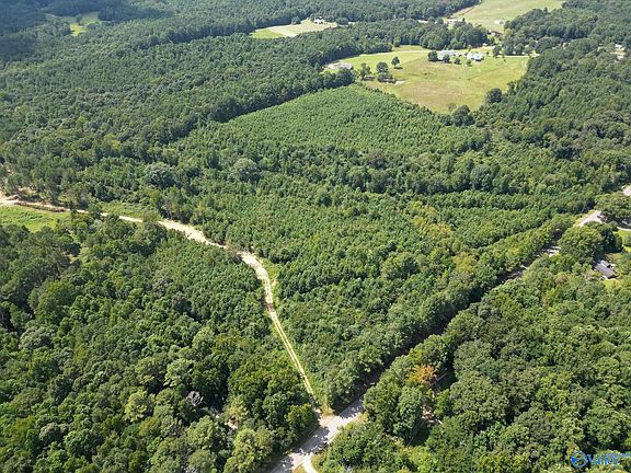 3rd image of 39 Walker Mountain Rd