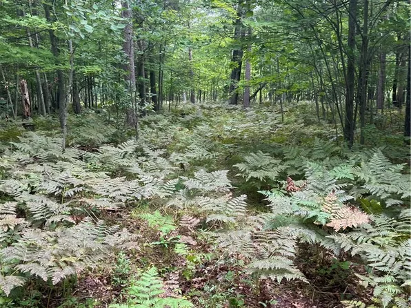 Lot 43 Deerpath Trail Way, Danbury, WI 54830