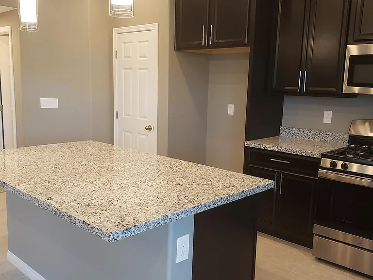 10456 Mount Charleston Ave — Photo 8