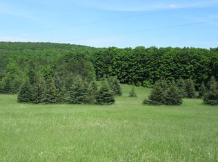 4000 Johnson Rd, Boyne Falls, MI 49713