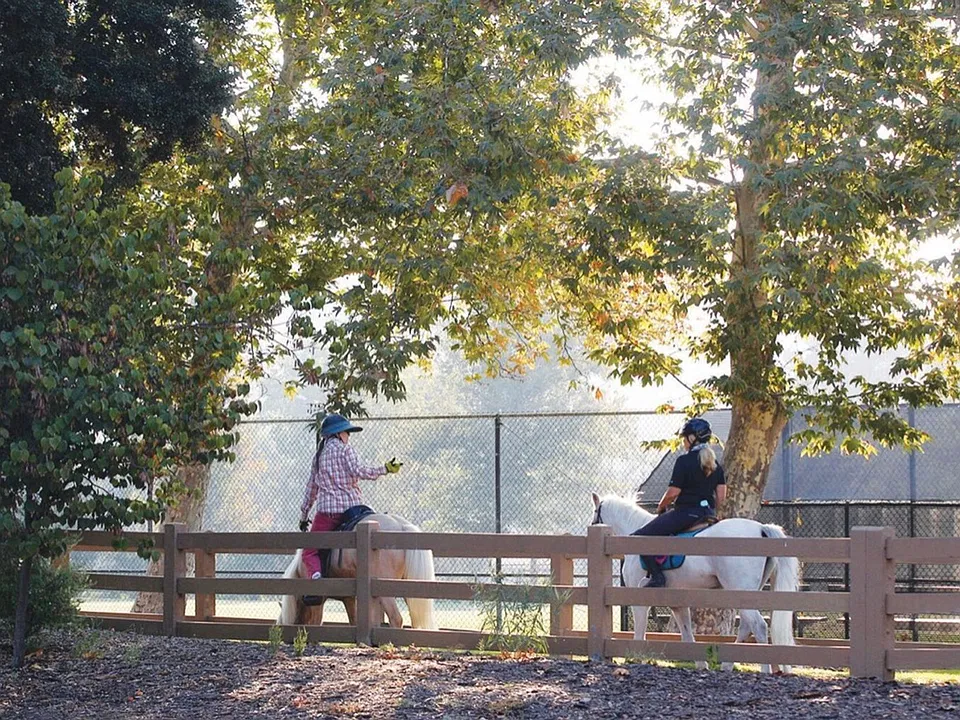 Agoura Carriage House LLC