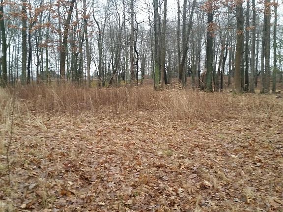 2nd image of 6815 Amelia Dr