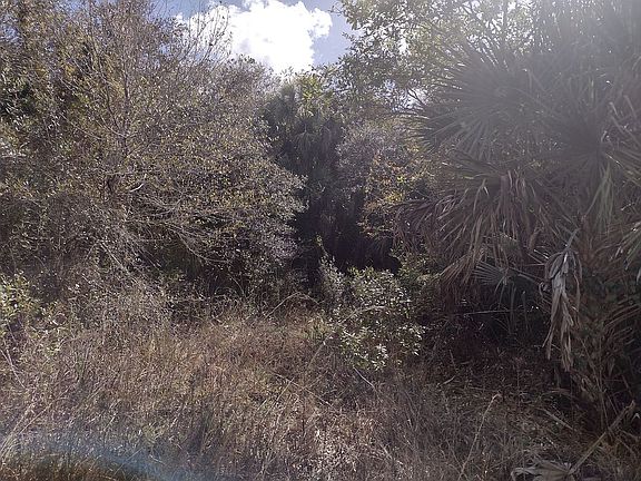 3rd image of 15946 NW 300th St