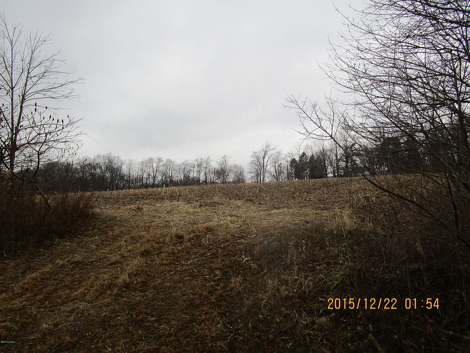 2nd image of Hollow Rd