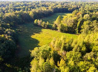 424 Tennessee Hwy, Cedar Grove, TN 38321