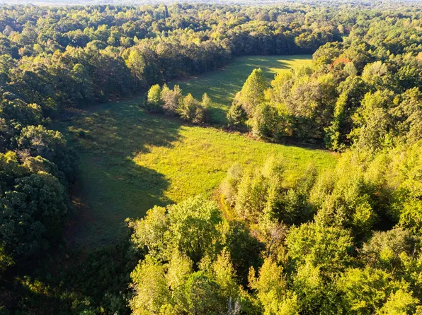 424 Tennessee Hwy, Cedar Grove, TN 38321