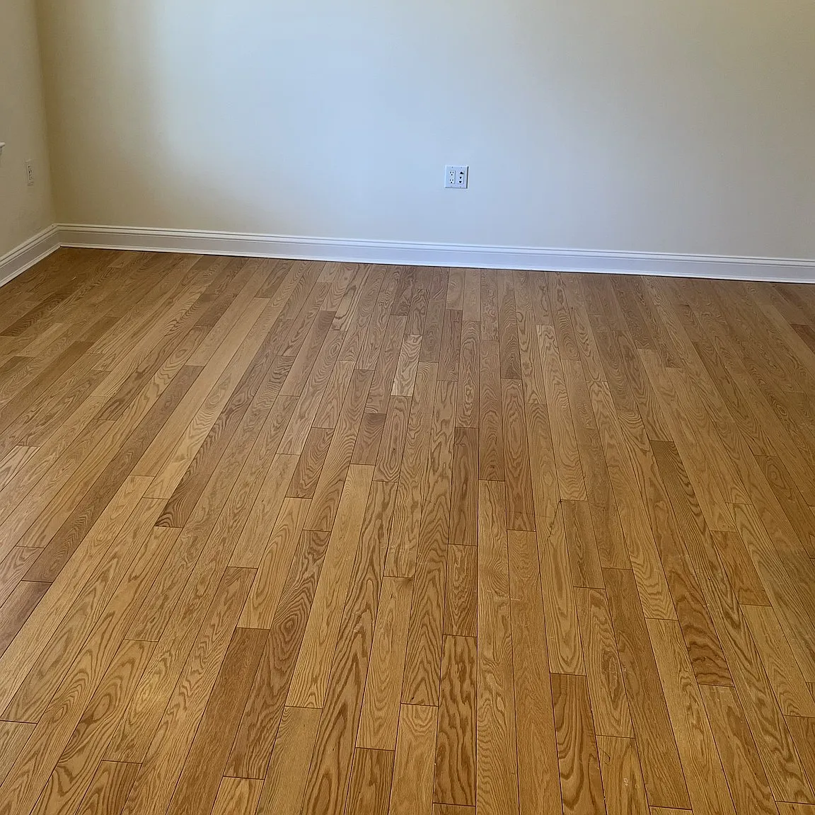 2 bed, 1.0 bath, 984 sqft, $3,820 — Photo 4