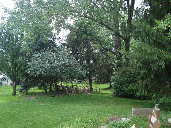 Lovely, private backyard