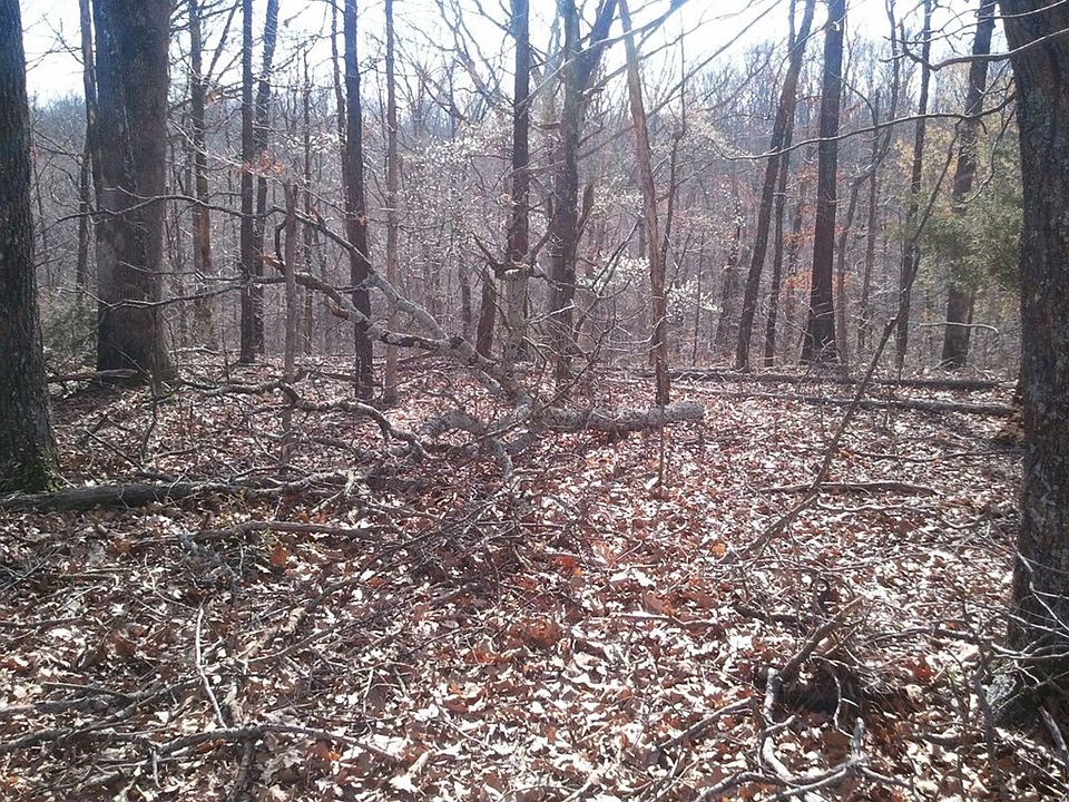 2nd image of 10 Alford Cir