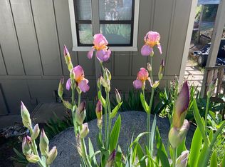 14623 Holly Ln, River Pines, CA 95675