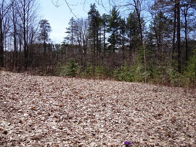 1st image of Lot 11 Hillside Cr.