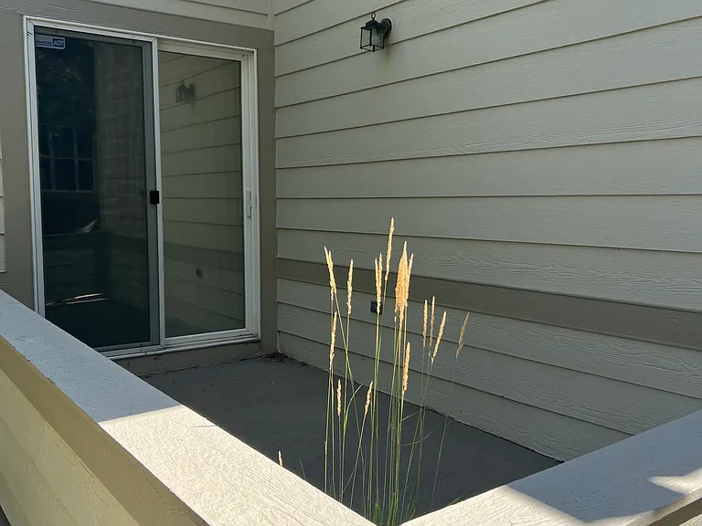 2851 Whitetail Cir — Photo 22