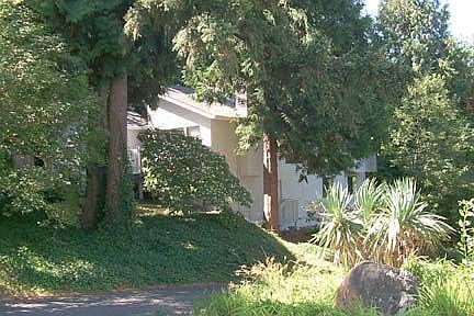 View through trees from street