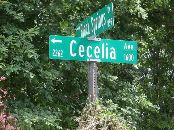 5th image of 1524 Cecelia Ave