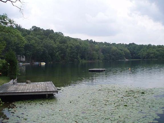 5th image of 23 Lake Grinnell Ln